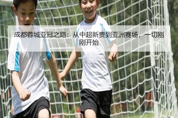 成都蓉城亚冠之路：从中超新贵到亚洲赛场，一切刚刚开始